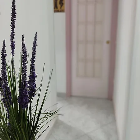 Casa Atri Spaccanapoli Centro Storico דירה נאפולי