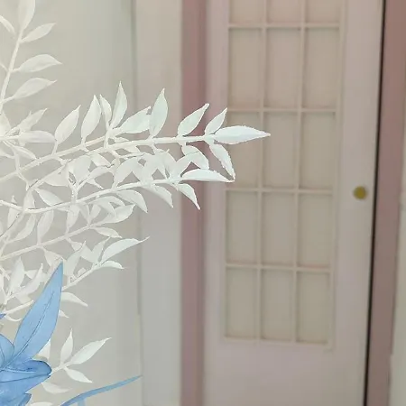 Apartment Casa Atri Spaccanapoli Centro Storico Naples